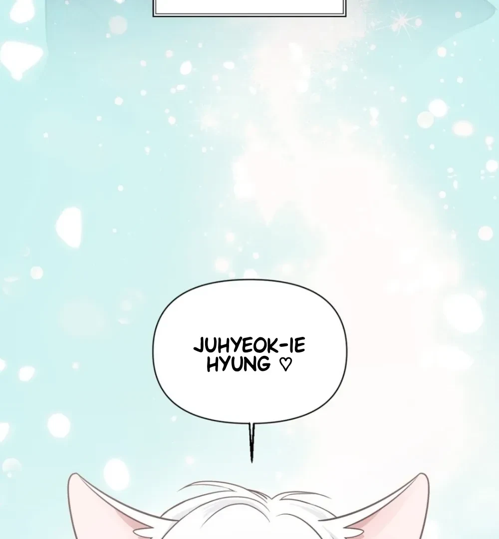 Chapter 1, page 88