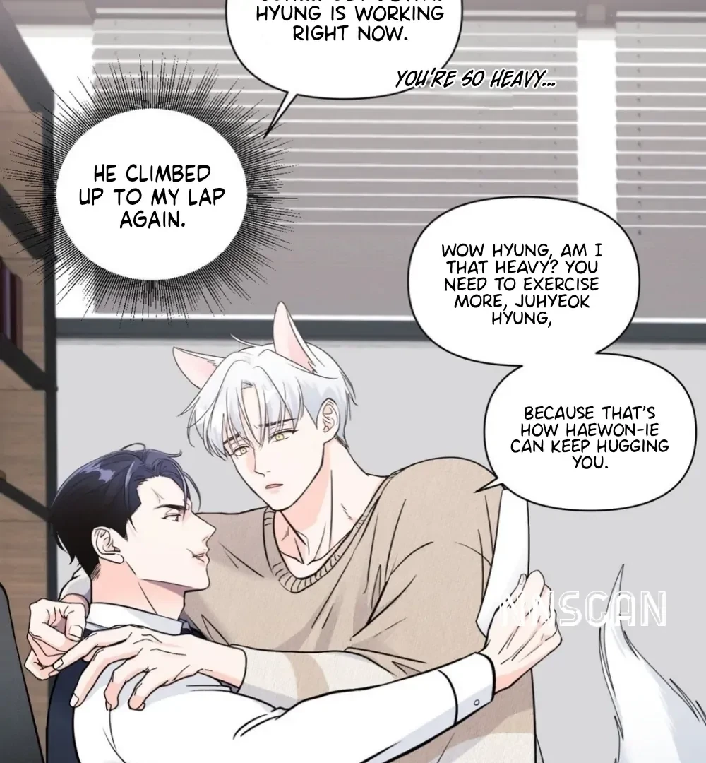Chapter 1, page 91