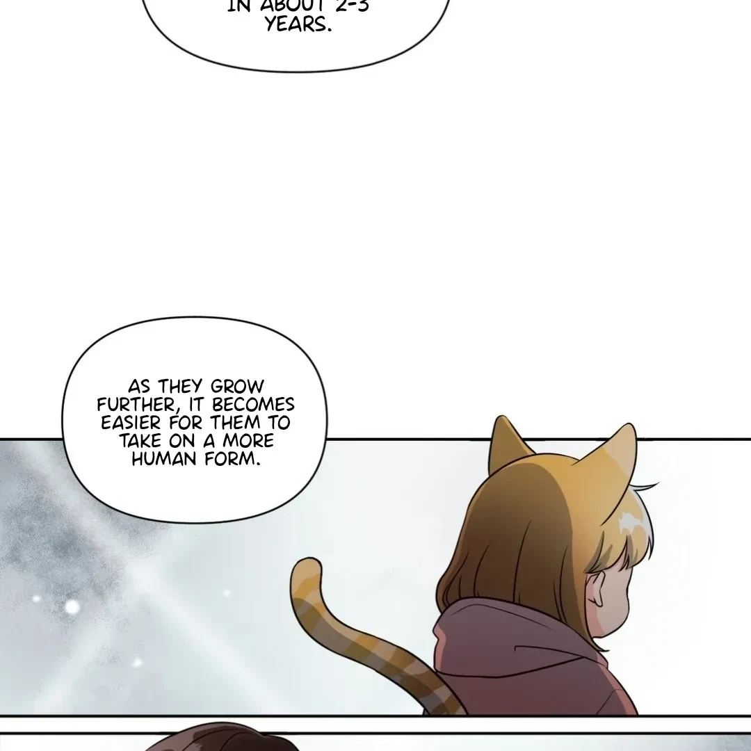 Chapter 1, page 98