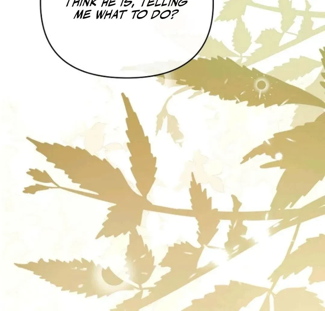 Chapter 3, page 115
