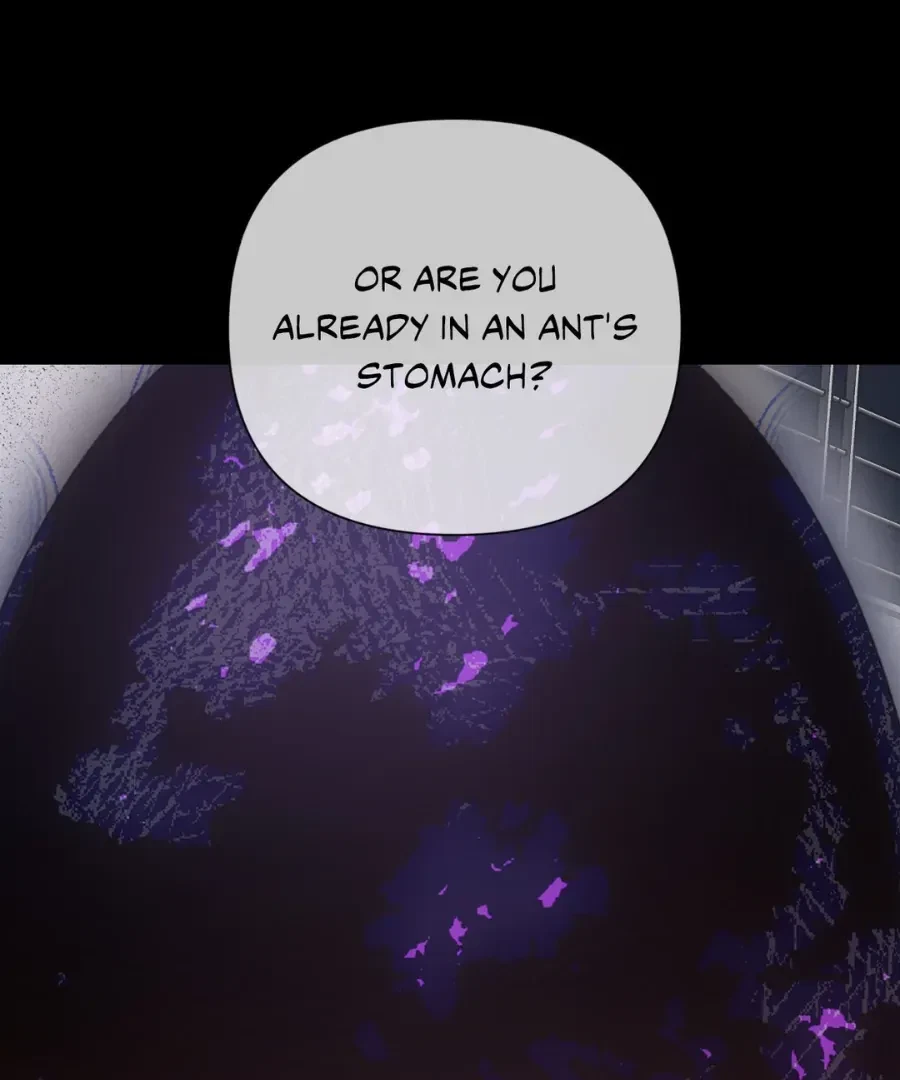 Chapter 15.08, page 55