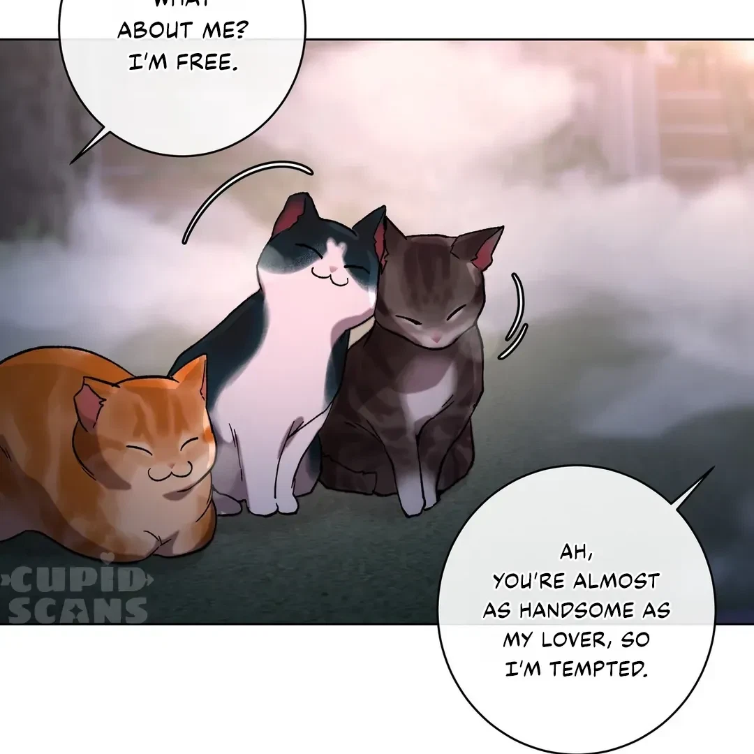 Chapter 9, page 222
