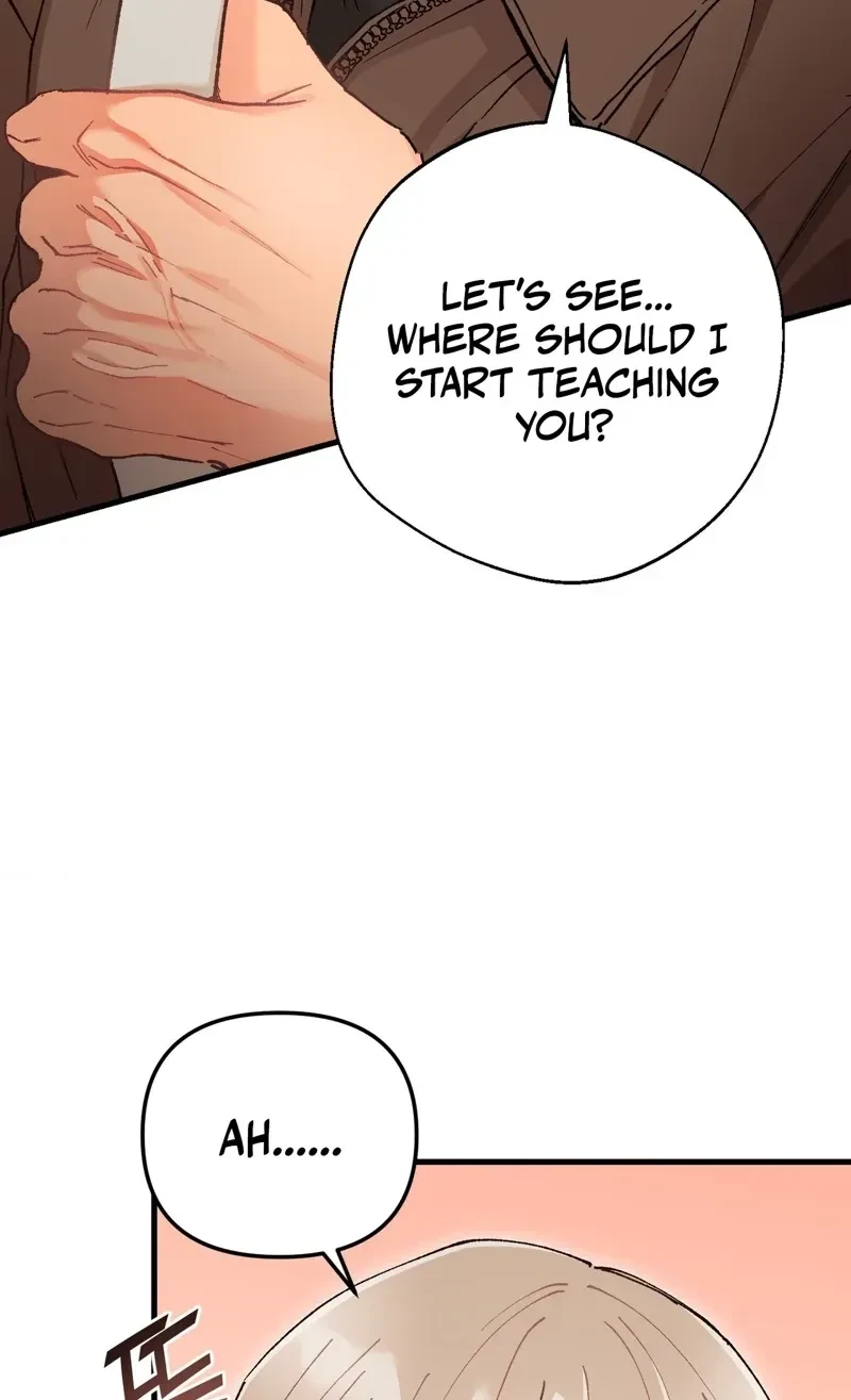 Chapter 4, page 33