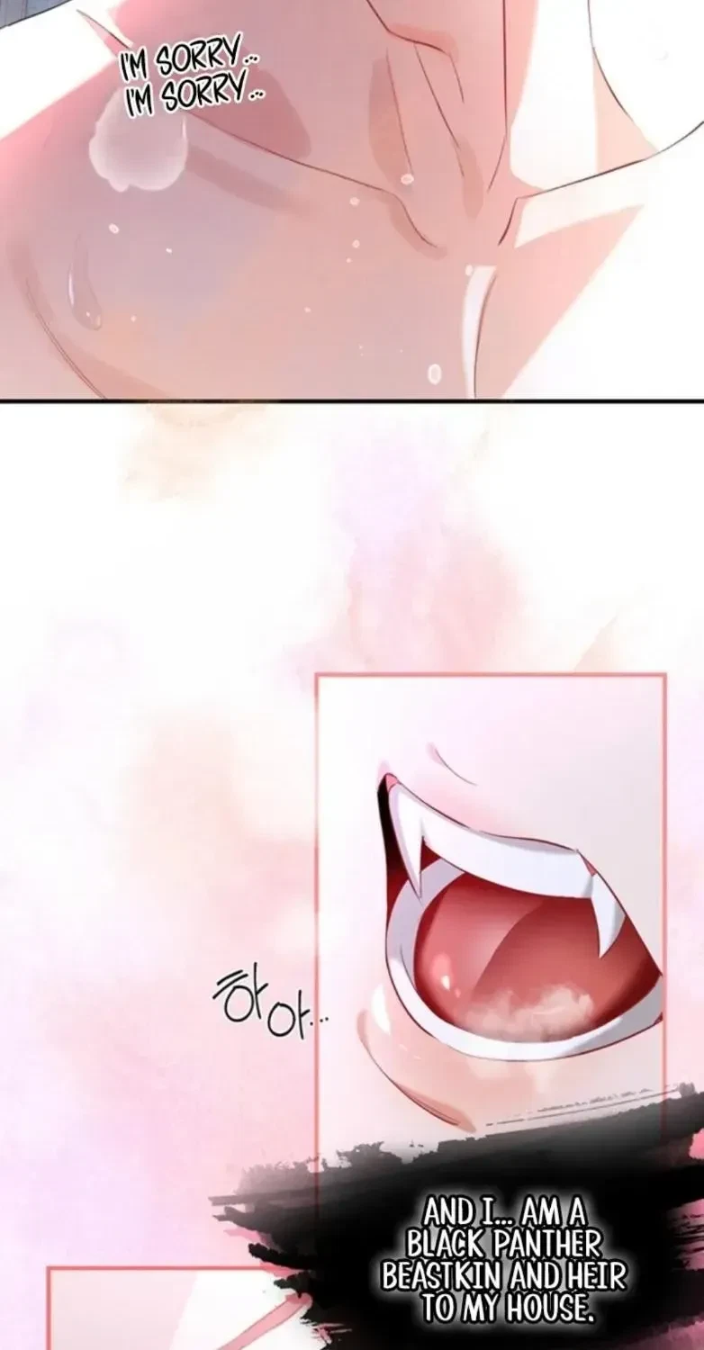 Chapter 1.1, page 8