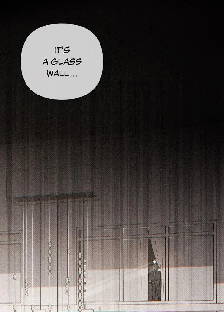 Chapter 3, page 101