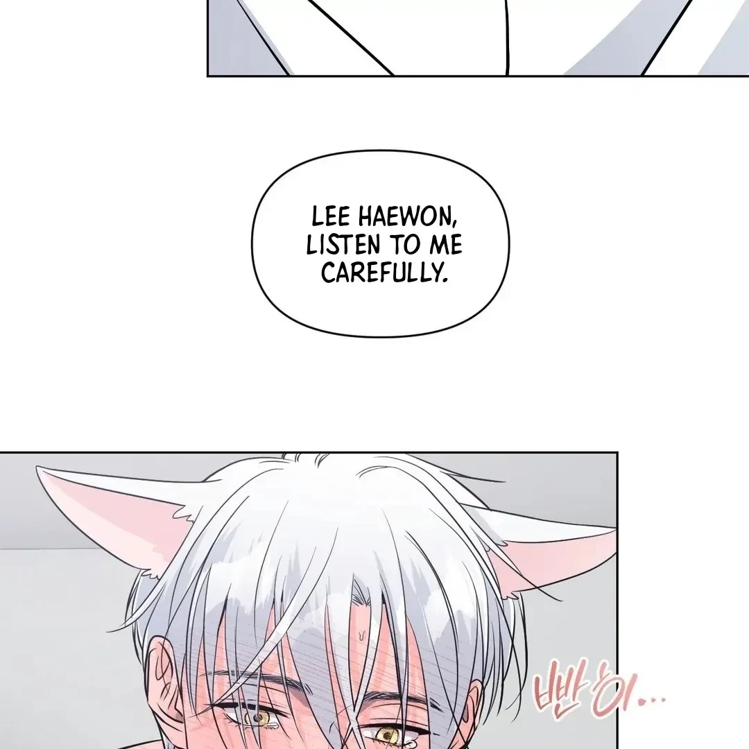 Chapter 5, page 29