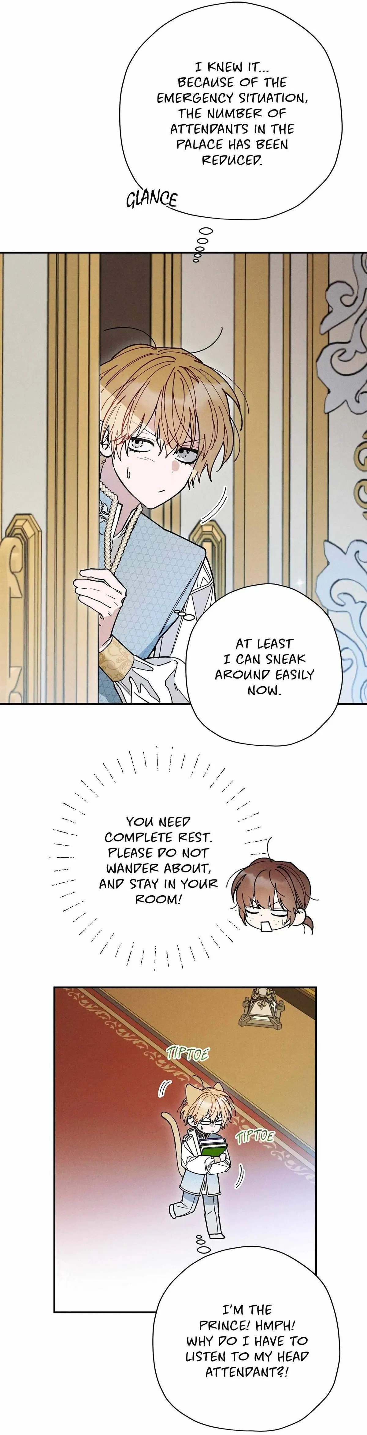 The Rogue Prince Is Secretly An Omega Chapter 94, page 3