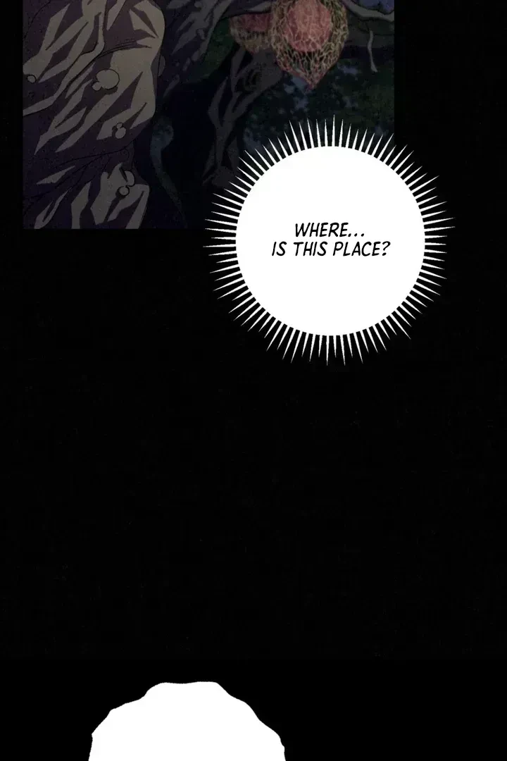 Chapter 1.4, page 31