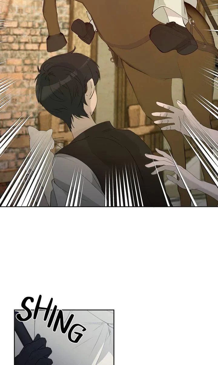 Chapter 2, page 29