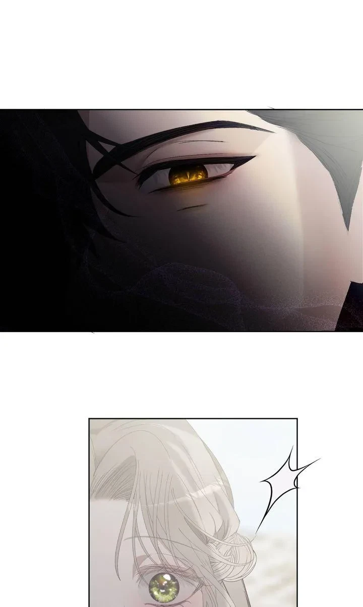 Chapter 2, page 49