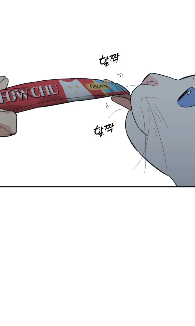 Chapter 35, page 14