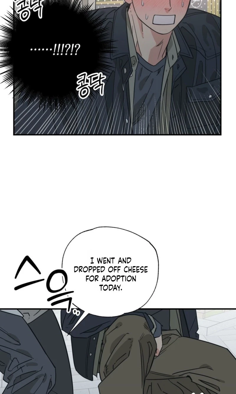 Chapter 35, page 23
