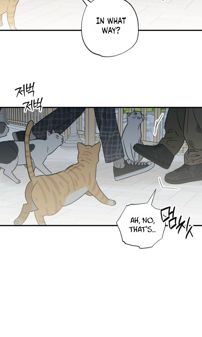 Chapter 35, page 46