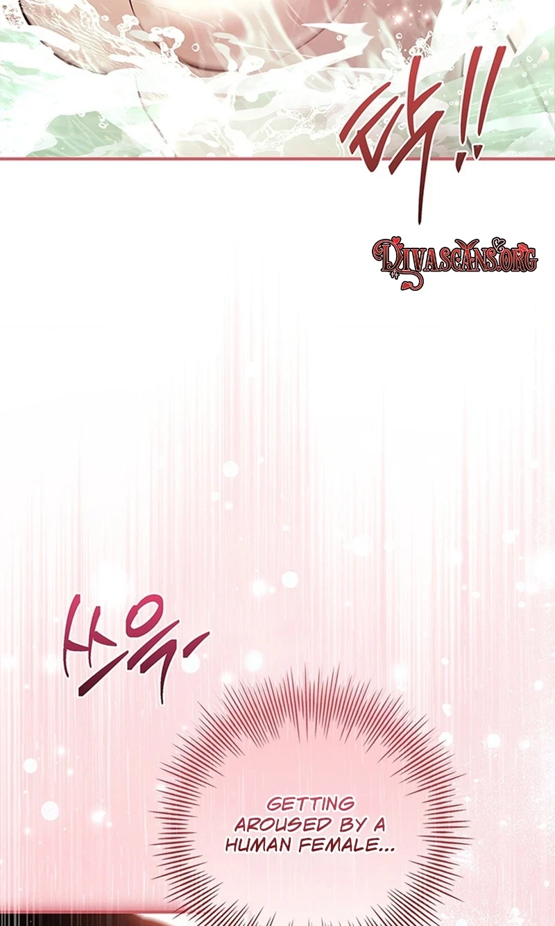 Chapter 4, page 97