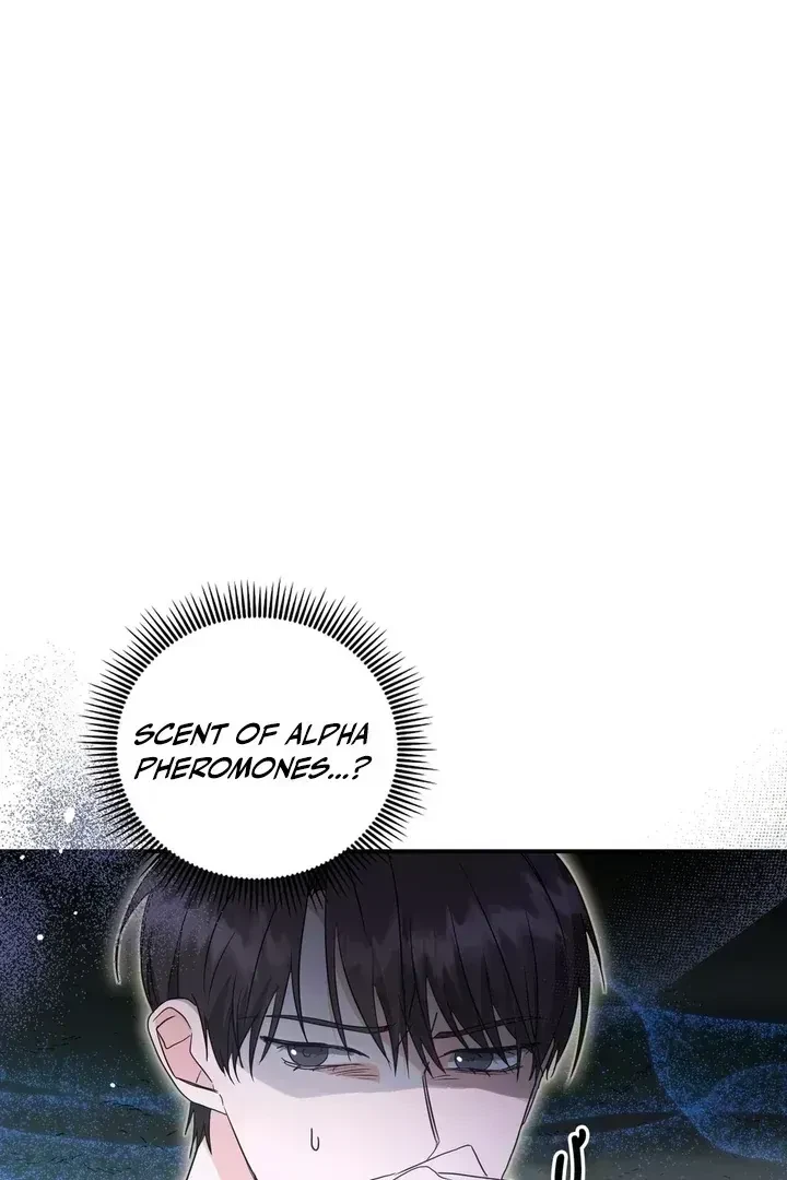 Chapter 2.4, page 64