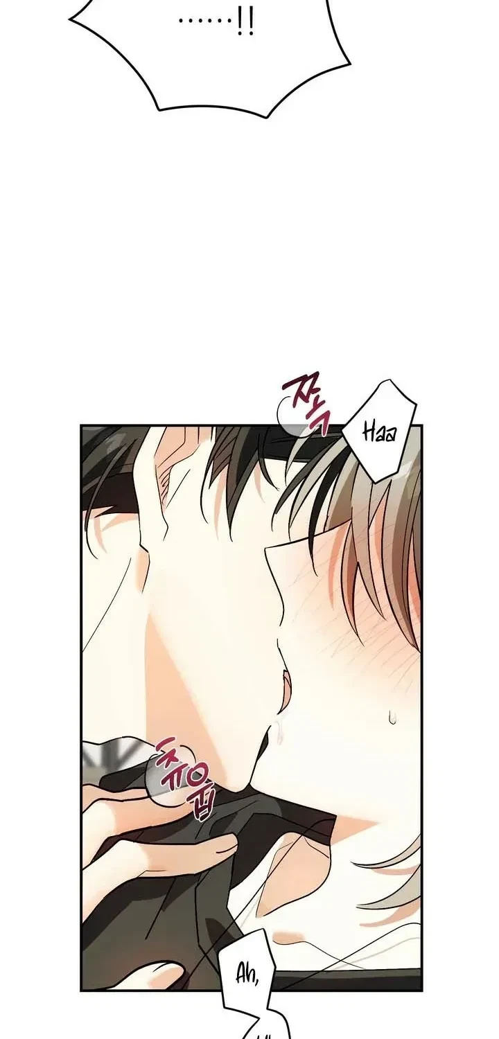 Chapter 3, page 19