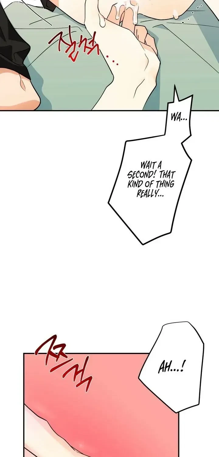 Chapter 3, page 41