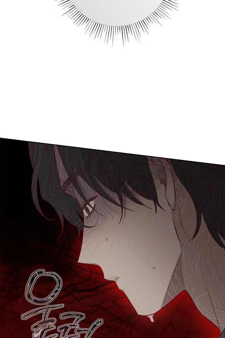 Chapter 2, page 33