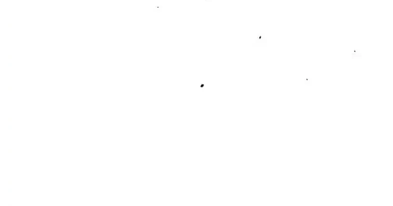 Chapter 1.1, page 198