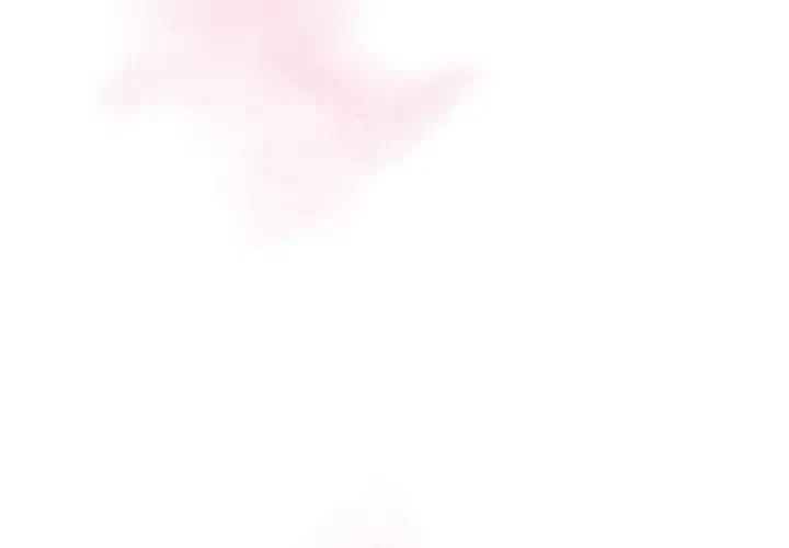 Chapter 2, page 96