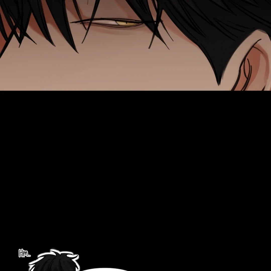 Chapter 0, page 15