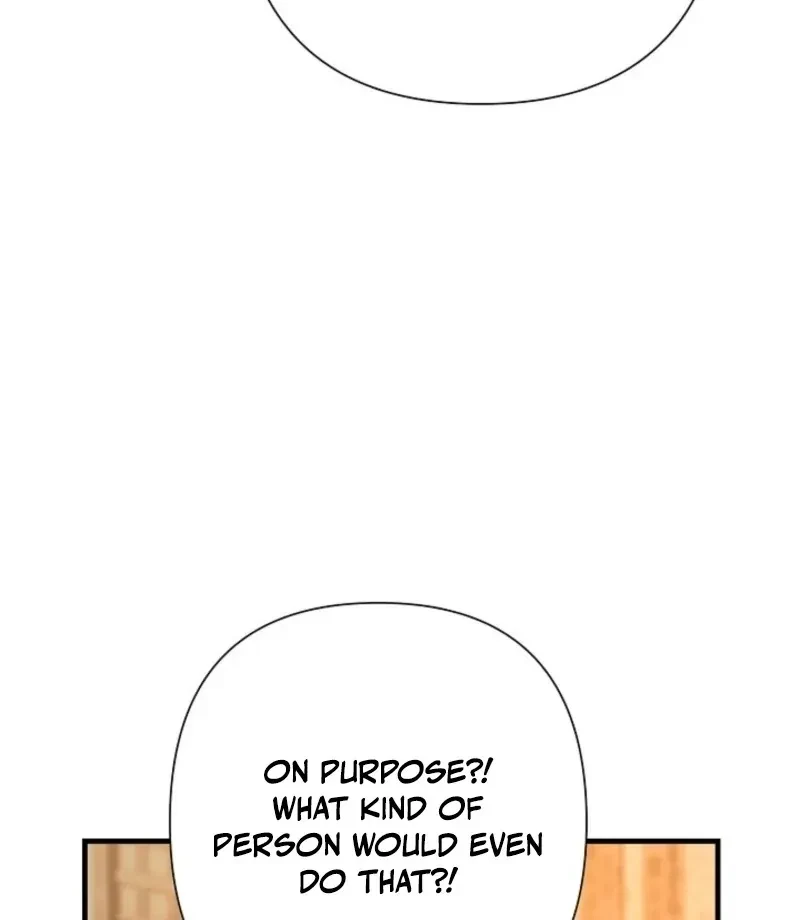 Chapter 2, page 24