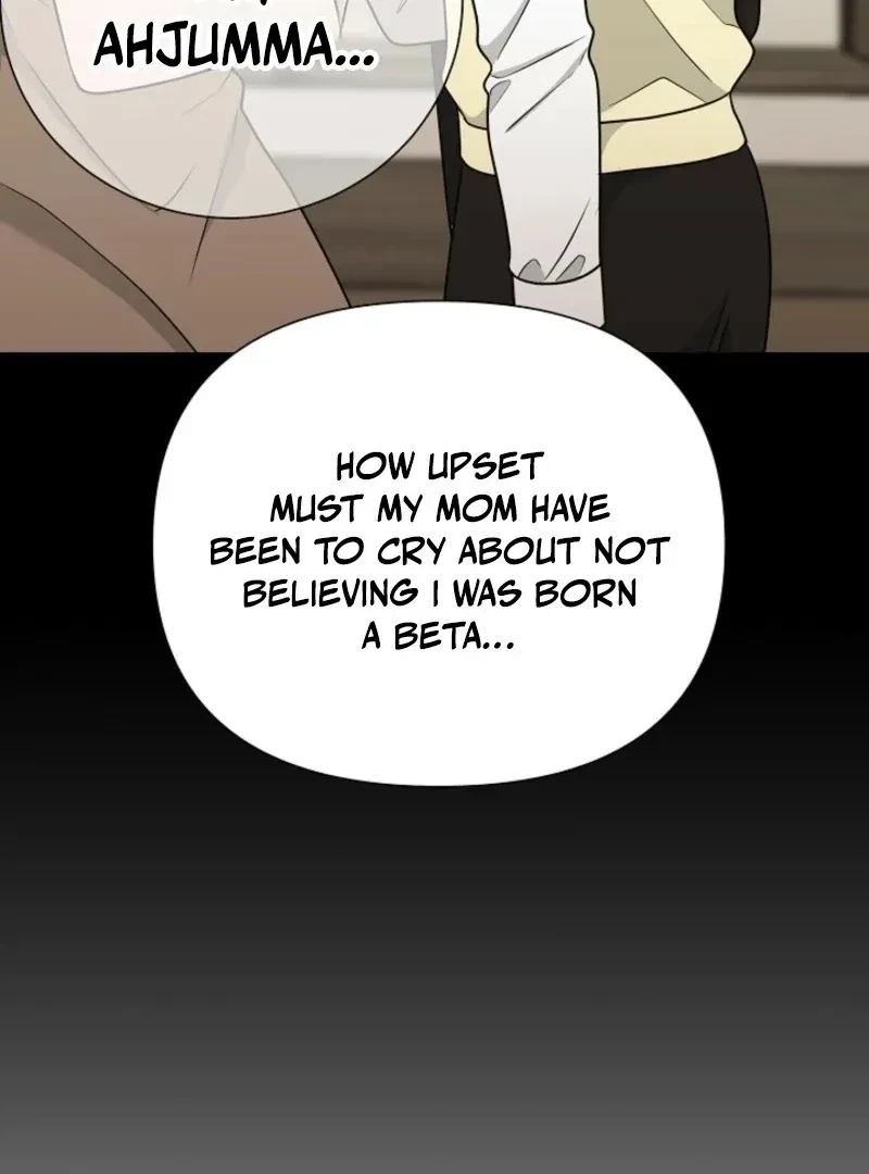 Chapter 2, page 97