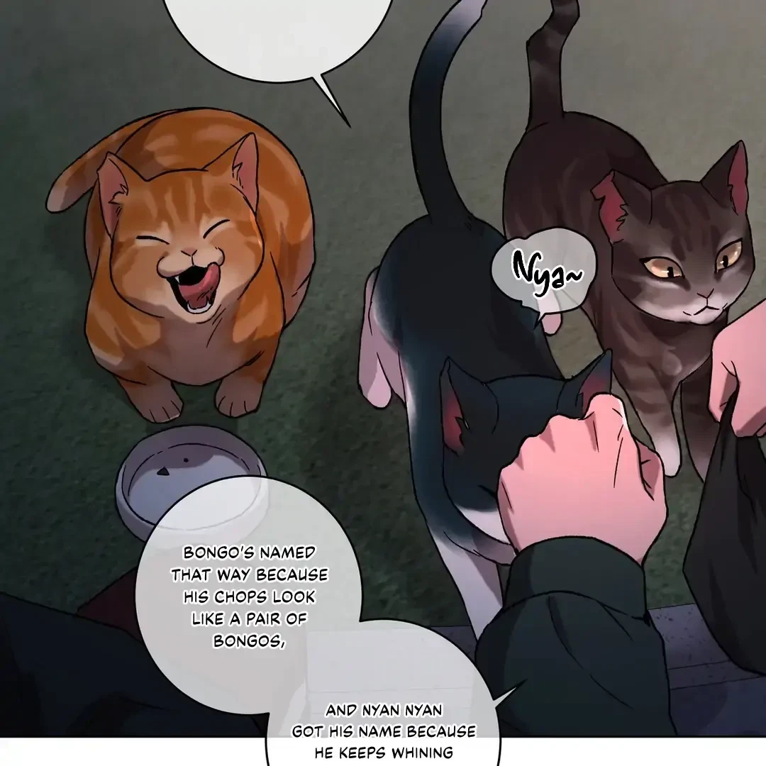 Chapter 1, page 12