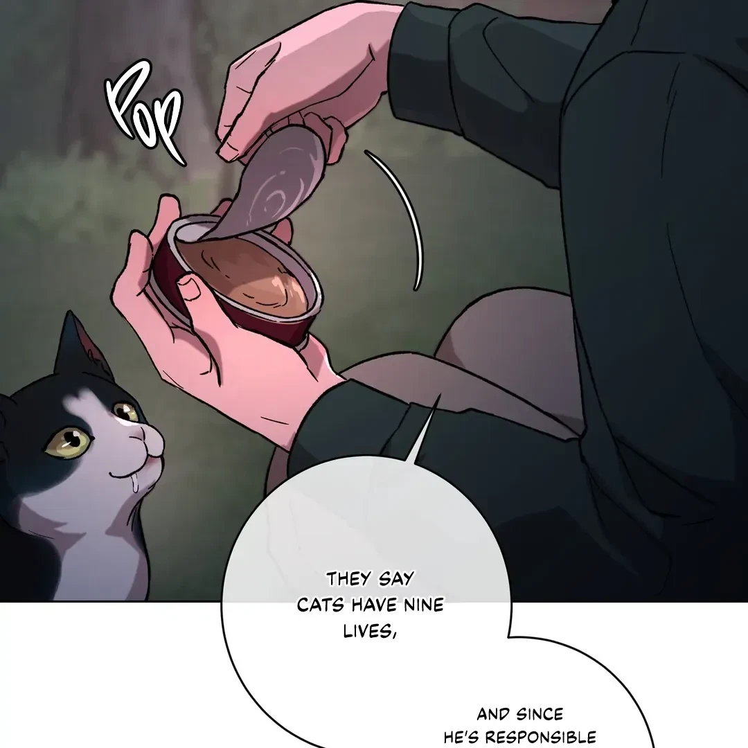 Chapter 1, page 15