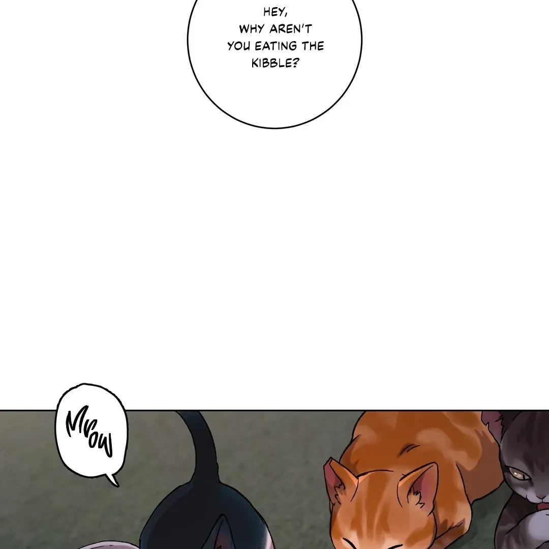 Chapter 1, page 3