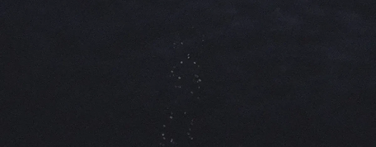 Chapter 67, page 194
