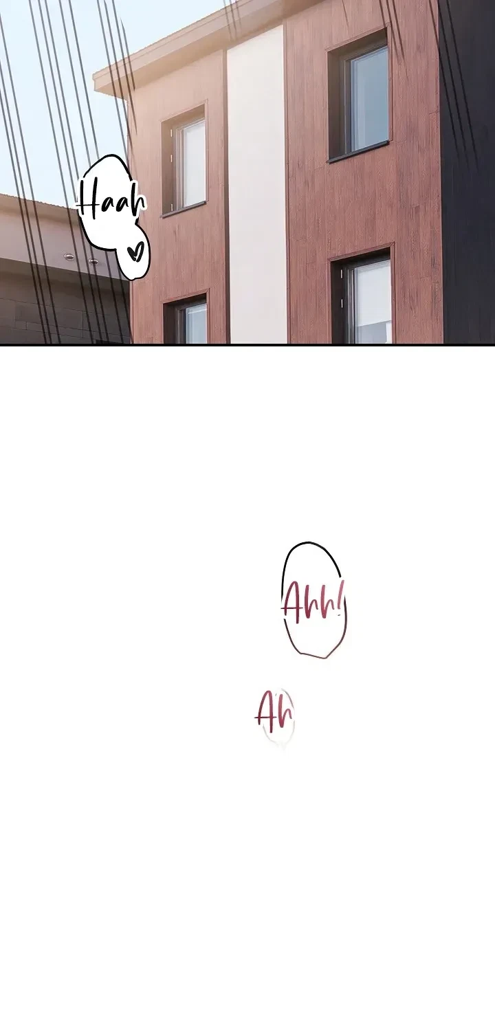 Chapter 3, page 66