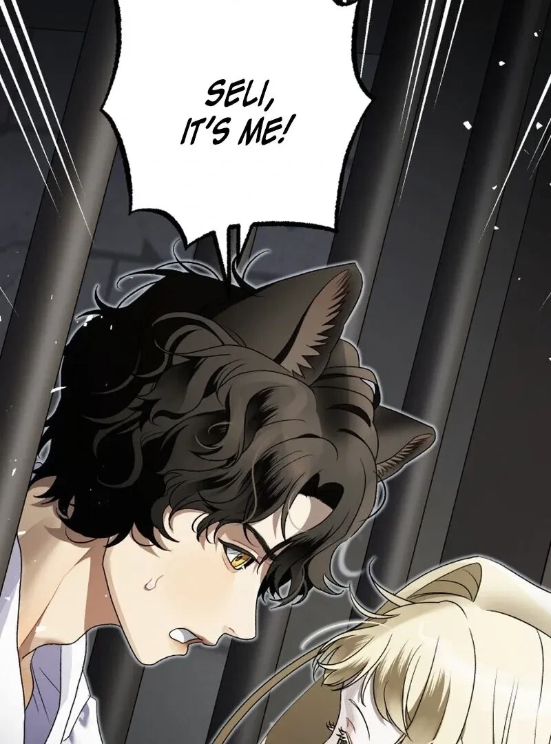 Chapter 4, page 121
