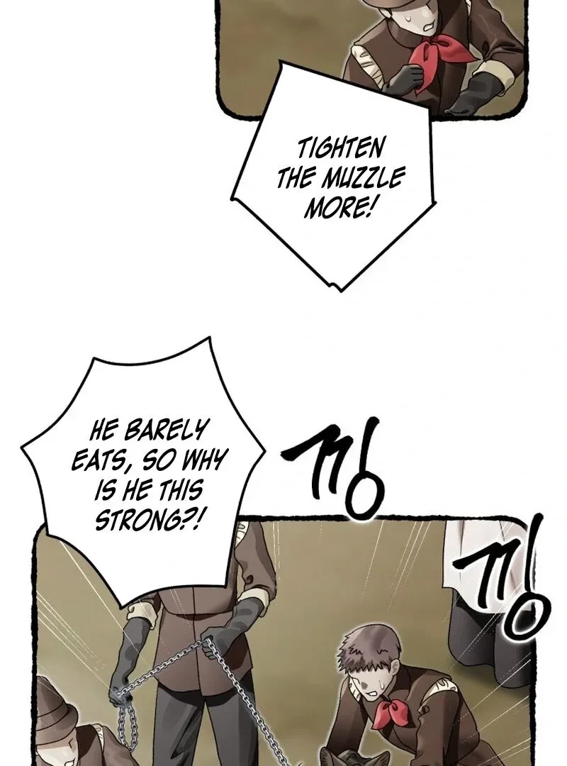 Chapter 4, page 16
