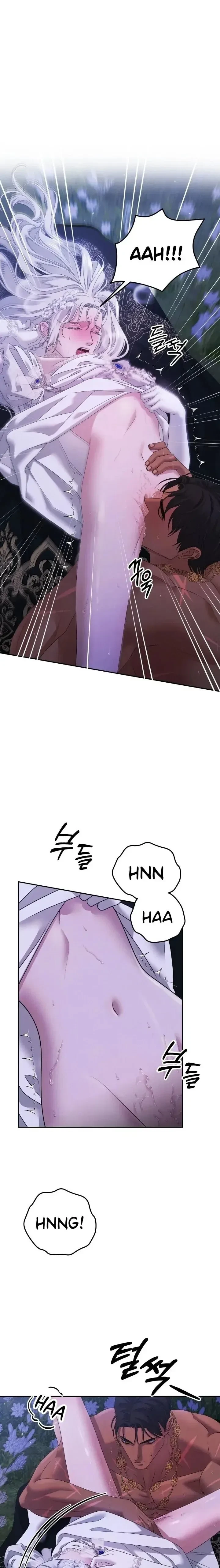 Chapter 21.1, page 17