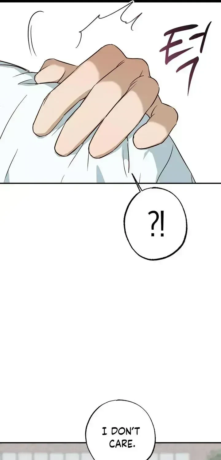 Chapter 2.5, page 52