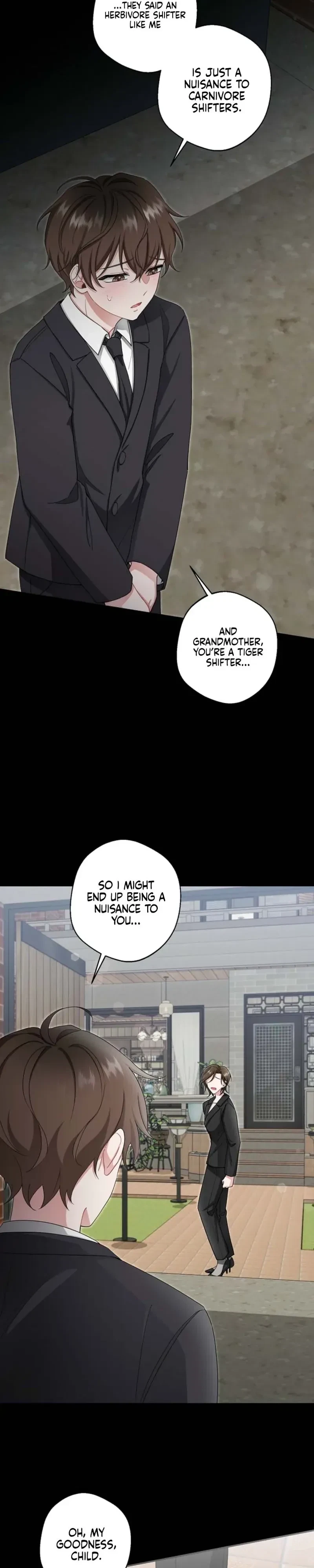 Chapter 1, page 17