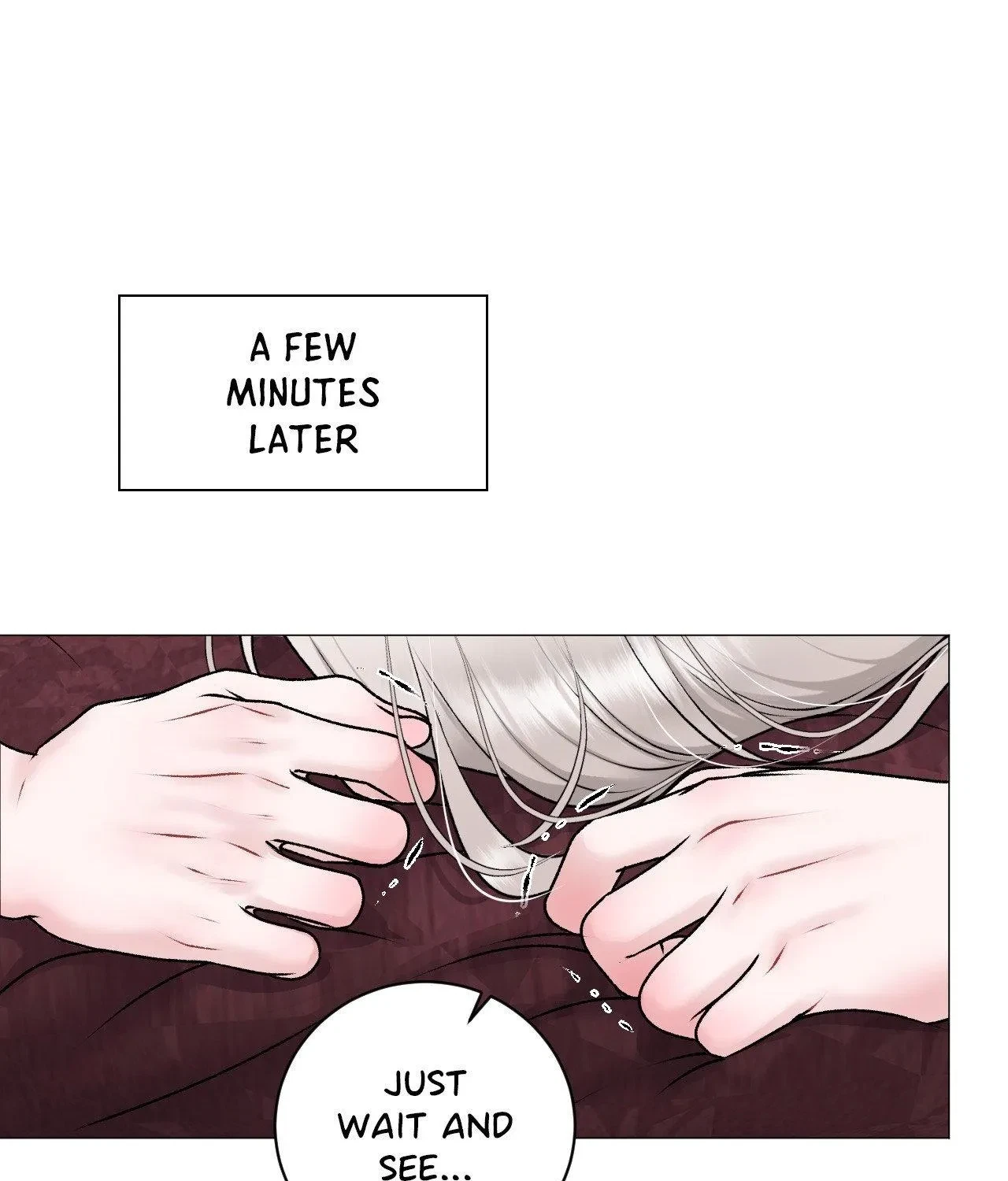 Chapter 2.1, page 71
