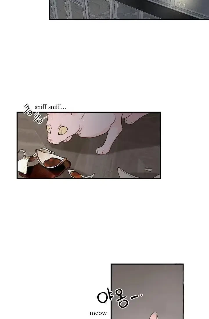 Chapter 33, page 45