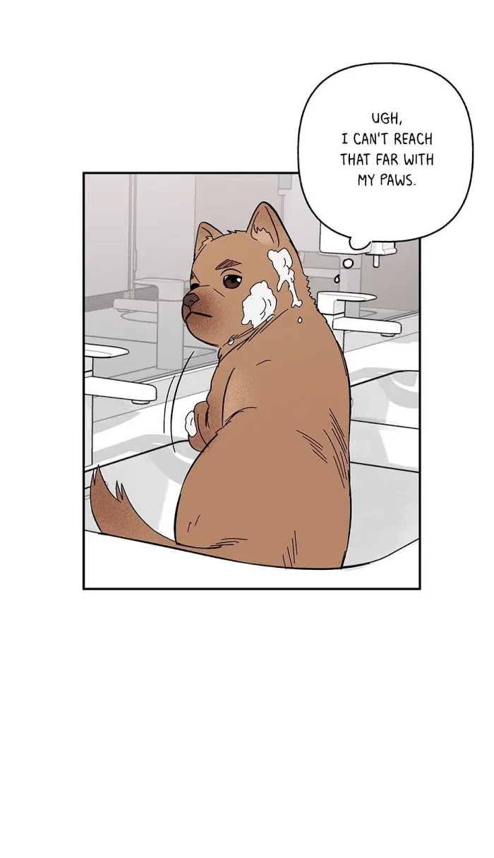 Chapter 34, page 22