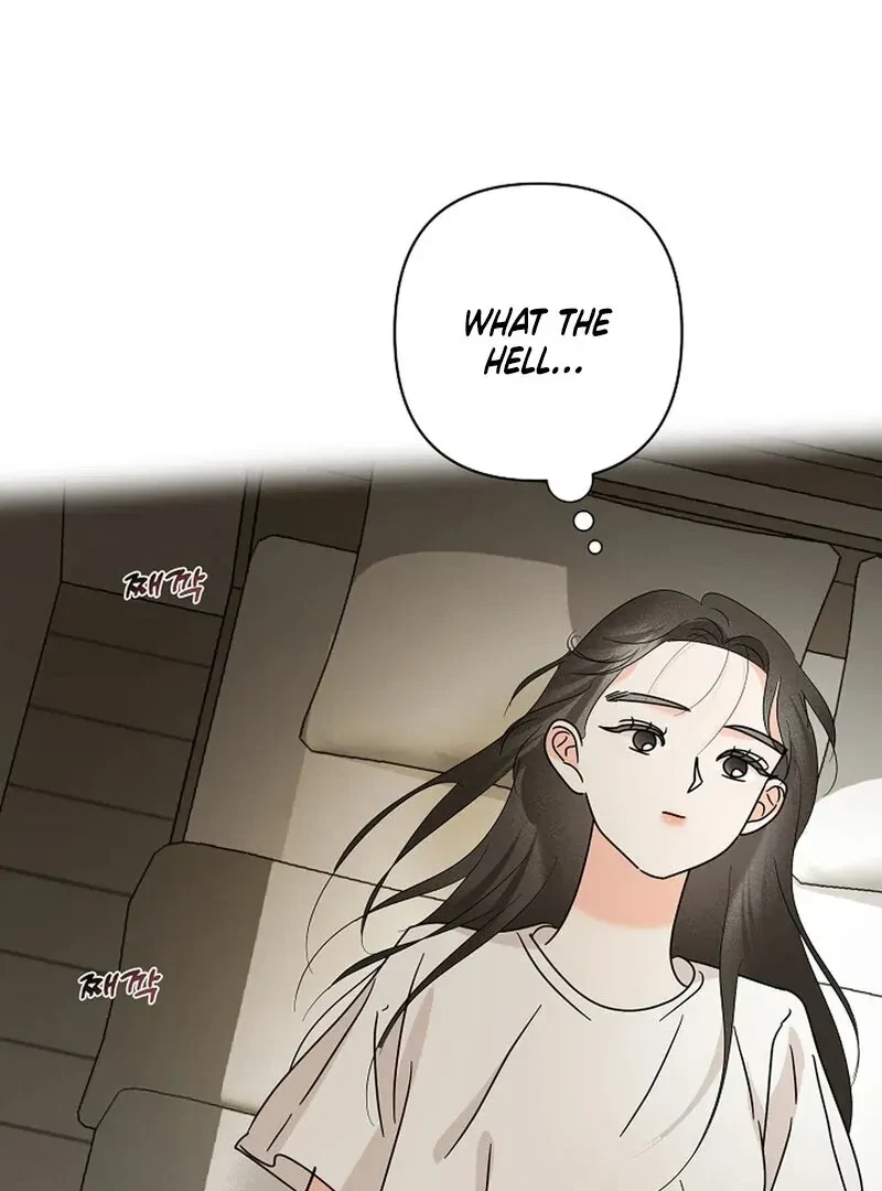 Chapter 17, page 106