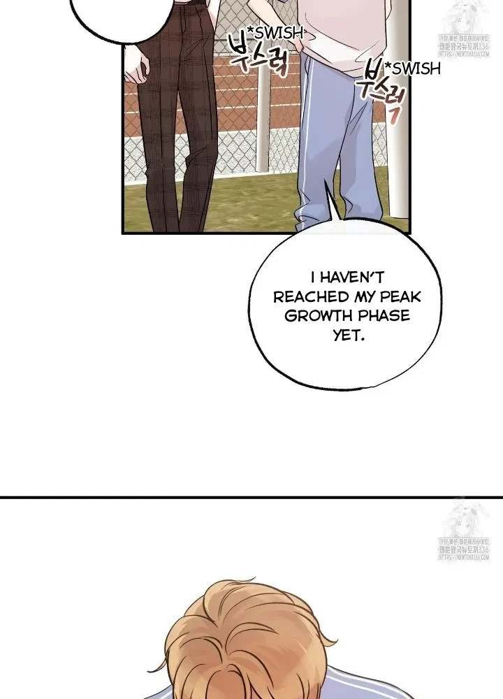 Chapter 3, page 66