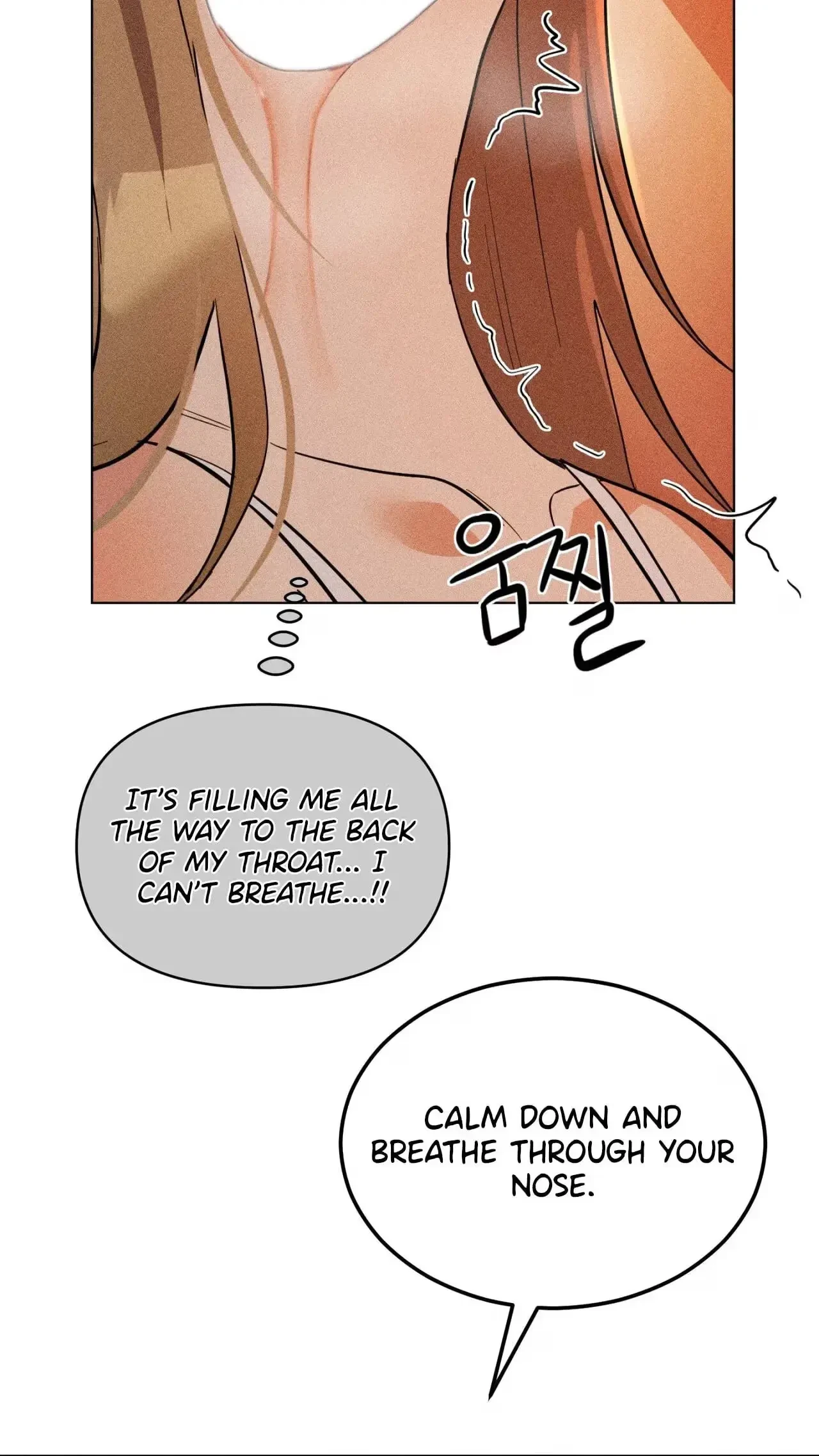 Chapter 3, page 17