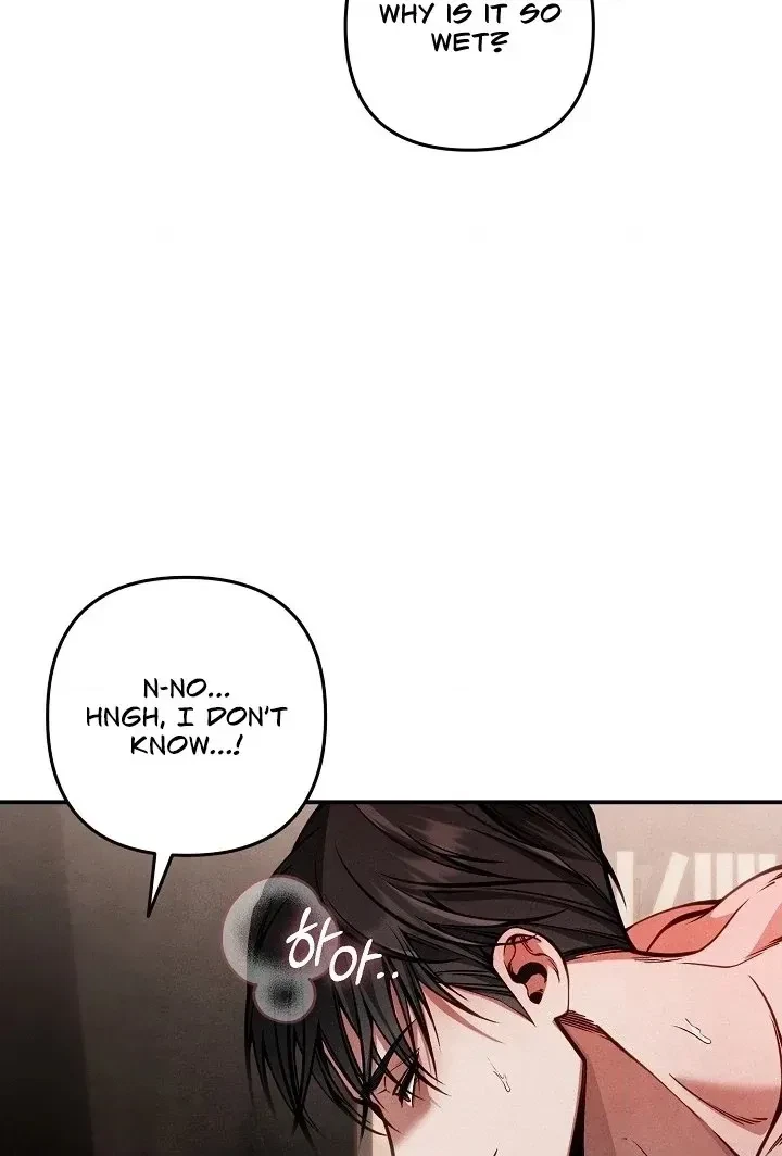 Chapter 3, page 30