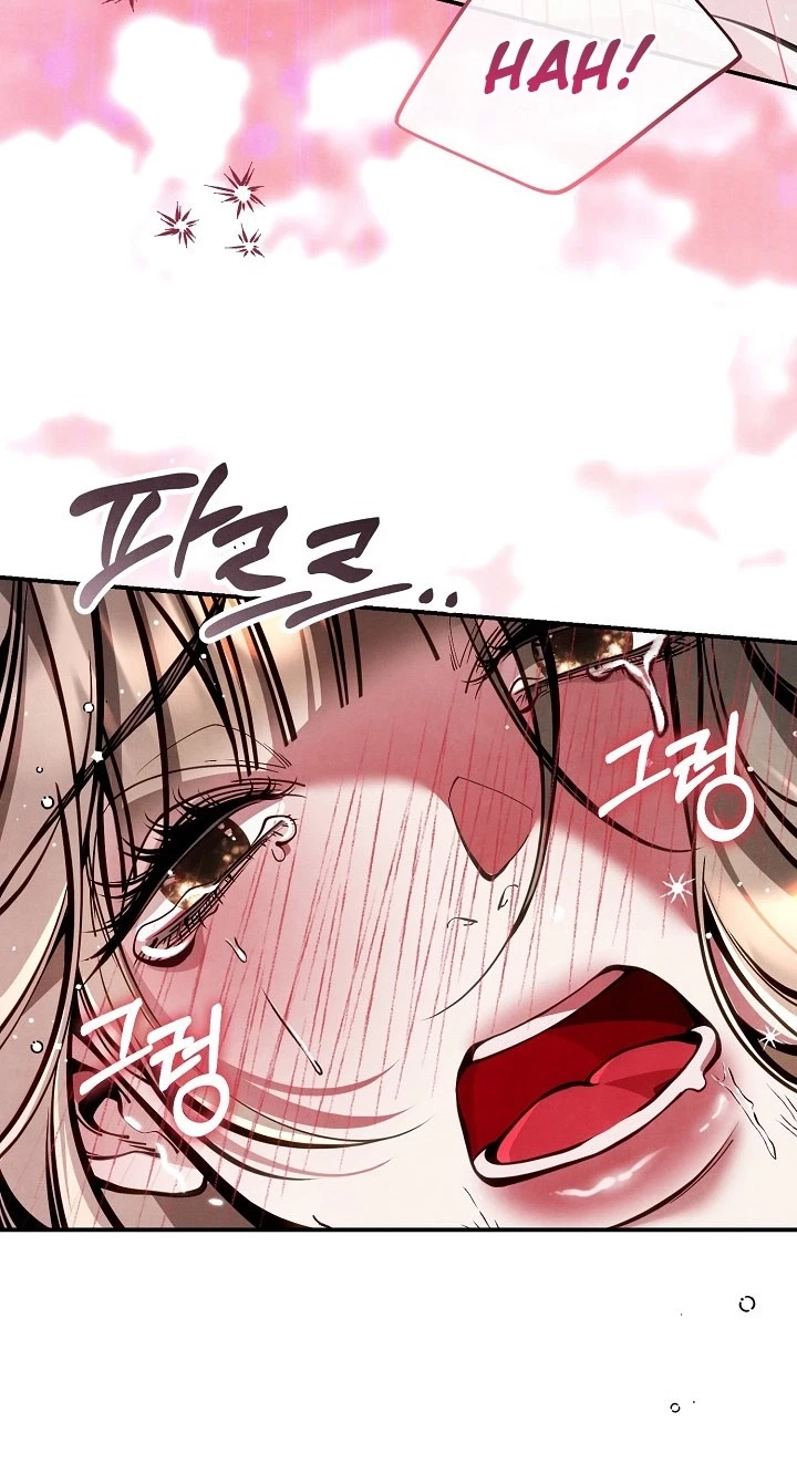 Chapter 3, page 5