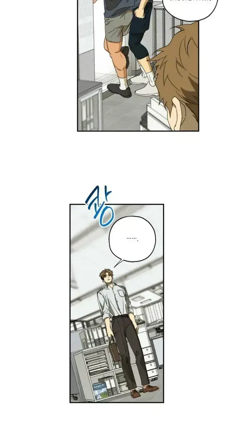 Chapter 1.6, page 49