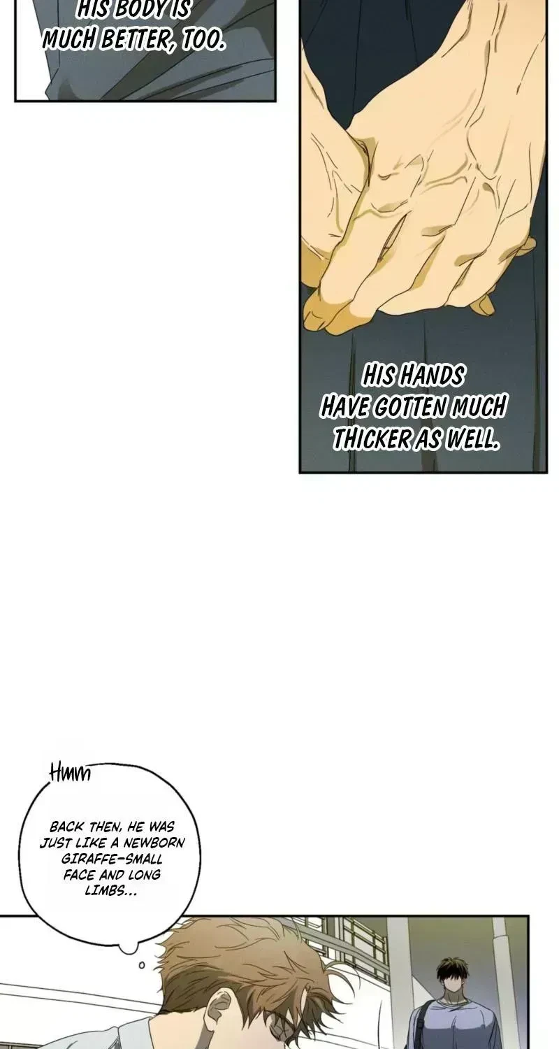 Chapter 1.6, page 61