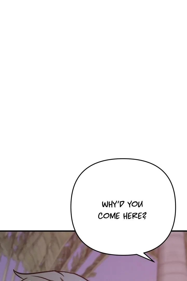 Chapter 2, page 46