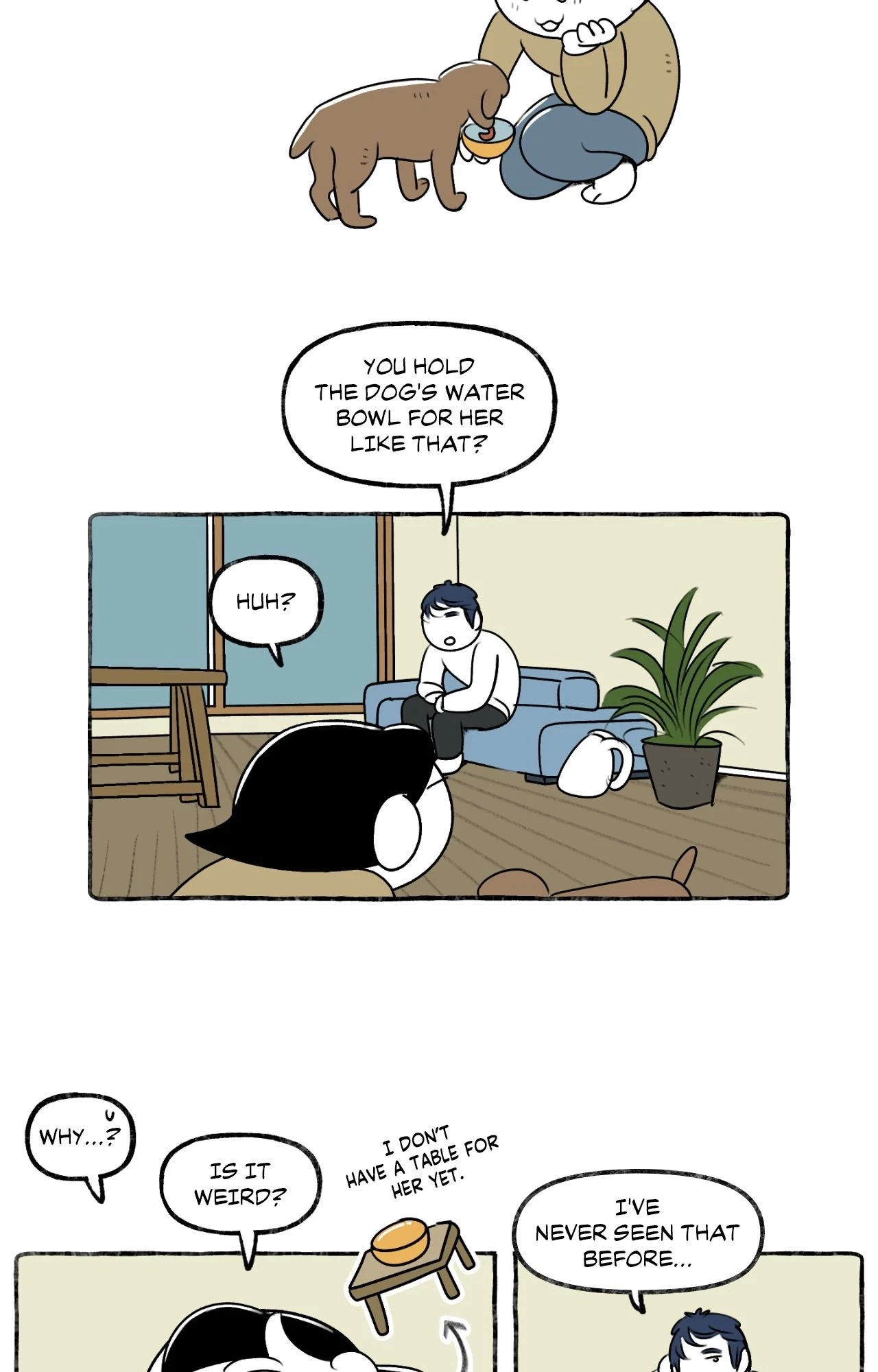 Chapter 254, page 19
