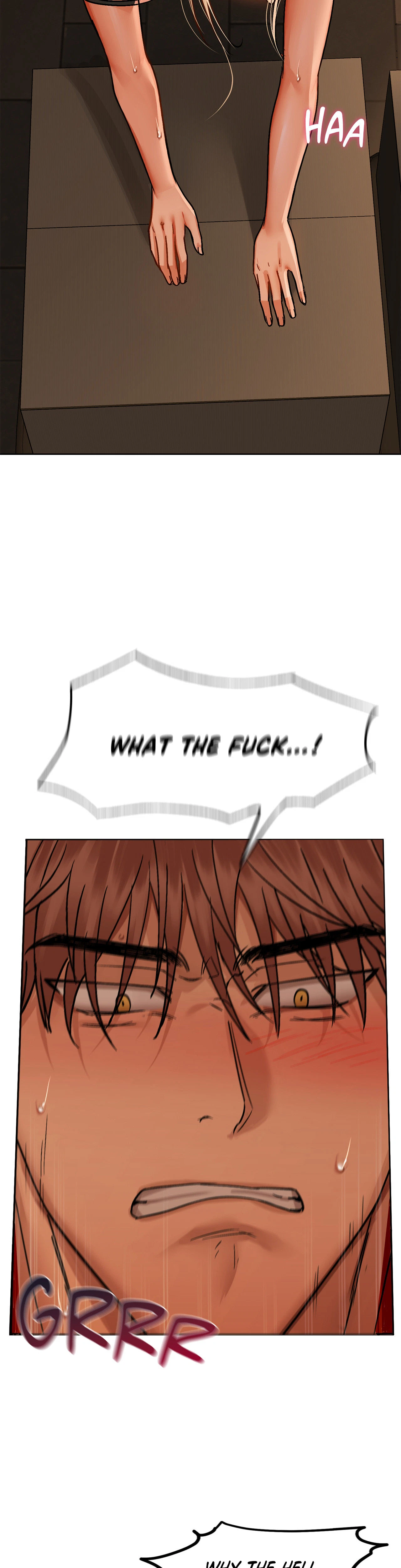 Chapter 30, page 17